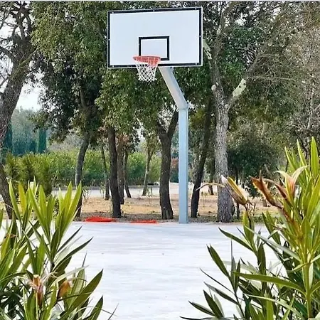 Mobile David-camp Soline בית נופש *